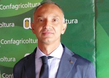 Piano per la Qualità dell’aria, in assenza di modifiche a rischio il settore agricolo