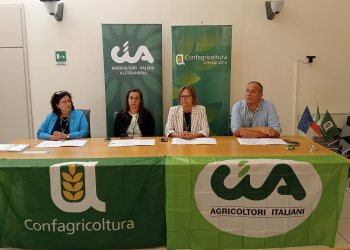 Agricoltura in crisi: prezzi non pareggiano i costi di produzione dei principali comparti produttivi 