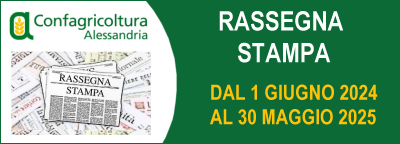Gli speciali: rassegna-stampa