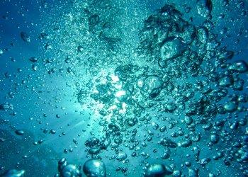 Emergenza acqua, Confagricoltura, Assoverde e Kepos presentano il terzo libro bianco del verde