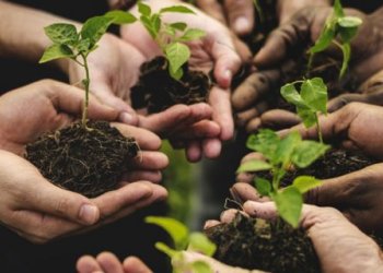 Agricoltura sociale: apre il bando nazionale di Confagricoltura, Senior l'Età della Saggezza ETS e Reale Foundation