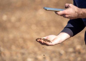 xFarm Technologies e Giovani di Confagricoltura-ANGA:  al via un progetto triennale  di Agricoltura Rigenerativa con Hubfarm