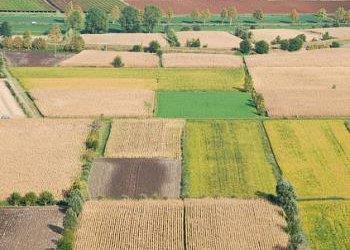 Clima, produttivita, energia, aviaria, reddito e ricambio generazionale: le emergenze e le sfide delle imprese agricole per il 2025