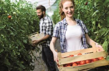 Pensioni: Opzione donna anche per il 2022