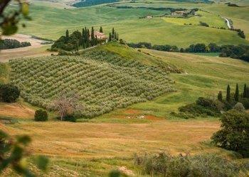 Turismo, Agriturist (Confagricoltura): una Pasqua di ristorazione. A pesare sullestate e lincertezza