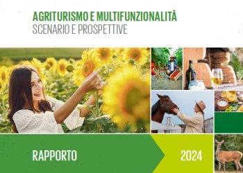 Rapporto Agriturismo e Multifunzionalitagrave; 2024