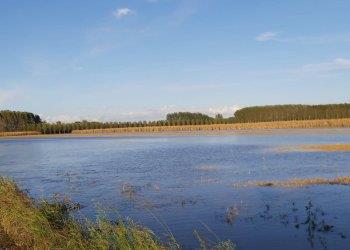 Cambiamenti climatici: siccitÃ  e alluvioni provocano danni enormi. Nuove norme per favorire polizze assicurative
