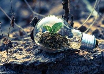 MUD 2023: approvate le istruzioni per la compilazione delle dichiarazioni 2022