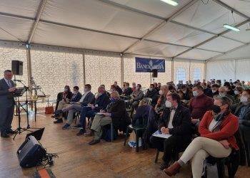 Piemonte: una vendemmia 2021 da quattro stelle, vino in calo del 15%
