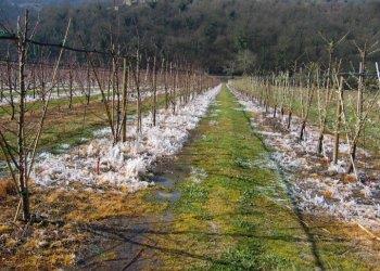 Aperto il bando per gli impianti antibrina