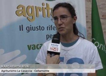 Agriturismo,numeri in crescita. E Alessandria guida la classifica delle migliori province, il servizio di Telecity 7 Gold