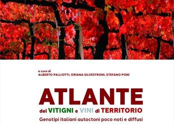 Libri Edagricole - Atlante dei vitigni e vini di territorio. Genotipi italiani autoctoni poco noti e diffusi