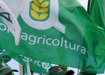 Manifestazione del 3 febbraio 2026 a Vercelli