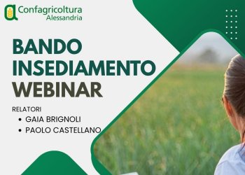 Webinar Bando Insediamento Giovani, mercoledì 17 giugno