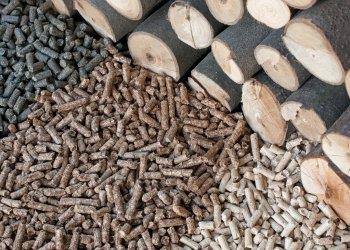Sostituzione generatori alimentati a biomassa legnosa