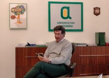 Il presidente di Confagricoltura Alessandria Luca Brondelli sul gelo nei campi - il servizio di Telecity 7Gold - visualizza il video