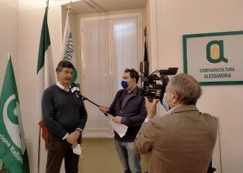 Il presidente di Confagricoltura Alessandria Luca Brondelli sul problema degli ungulati, il servizio di Telecity 7Gold - visualizza il video