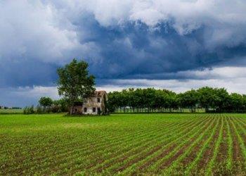 Deroga PAC su destinazione terreni a finalità non produttive, Giansanti (Confagricoltura): da commissione UE troppe condizioni, misura poco utile