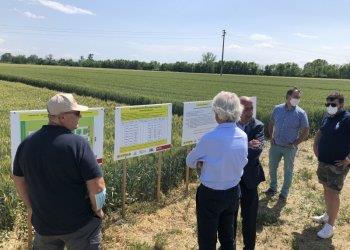 Sabato pomeriggio campi sperimentali di Produttori mais, Centro Agricolo S.Michele, SAF e Sette Vie alla Cascina Torre di Frugarolo