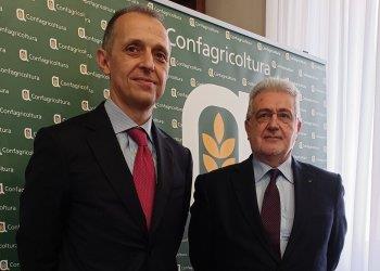 Confagricoltura e Gruppo BCC ICCREA al fianco delle imprese per laccesso al credito e progetti di innovazione