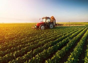 Istat, 7deg; Censimento generale dellagricoltura: Meno aziende agricole (ma piugrave; grandi) e nuove forme di gestione dei terreni. Ecco il report