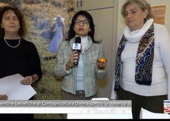 Le Clementine antiviolenza, il servizio di Telecity 7Gold