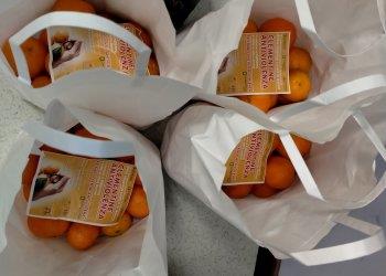 In distribuzione le clementine antiviolenza nei nostri uffici e sabato al PalaOltrepograve; durante la partita di basket femminile di A2