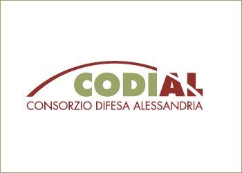 Il Consorzio di difesa di Alessandria Codial compie 50 anni