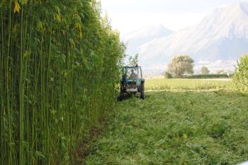 Investire in terra puograve; ancora essere un affare