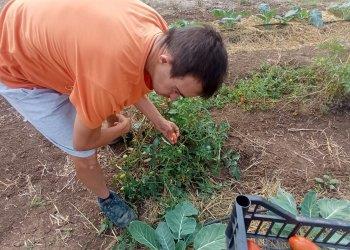 Coltiviamo agricoltura sociale, premiati i vincitori del bando 2021. In sei anni sostenuti progetti per 720 mila euro