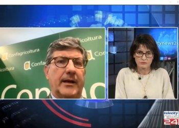 Confagricoltura a Bruxelles per cambiare la Pac