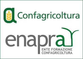 Empathy map per lenoturismo: il 2 marzo un webinar di Enapra e Confagricoltura