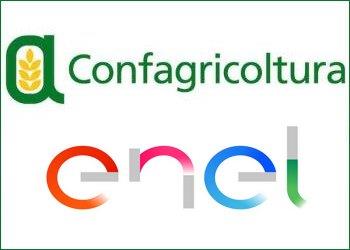 Il 1deg; dicembre la presentazione online degli accordi Confagricoltura  Enel