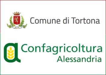 Nato il DUC di Tortona: un progetto per rilanciare il centro