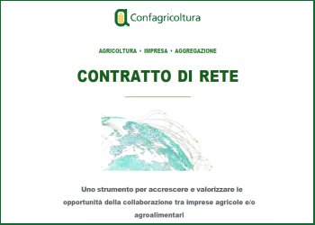 Reti d’impresa, un vademecum per le imprese