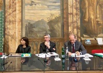Emergenza manodopera nei campi: appello di Confagricoltura a fare sistema