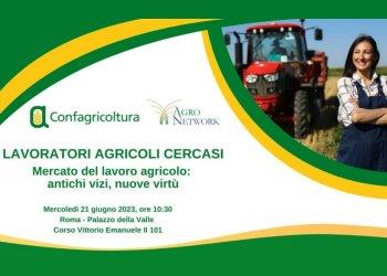 Mercato lavoro agricolo: antichi vizi, nuove virtugrave; - Convegno mercoledigrave; 21 giugno a Roma