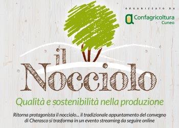 Domani il convegno on line sul nocciolo: ultime ore per registrarsi