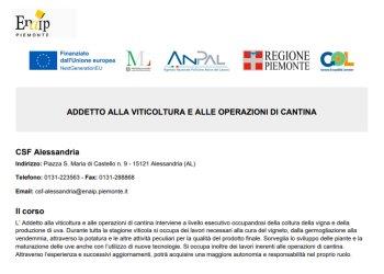 Enaip Alessandria organizza un corso per Addetto alla viticoltura e alle operazioni di cantina, riservato ai disoccupati