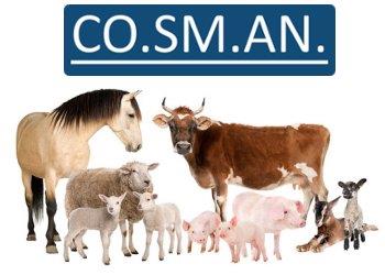 Cosman: convocate le assemblee parziali e lassemblea generale ordinaria e straordinaria