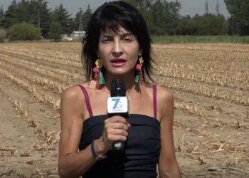 Siccitagrave;: lunedigrave; prossimo Confagricoltura e Cia Alessandria incontrano il Prefetto, il servizio di Telecity7Gold - visualizza il video