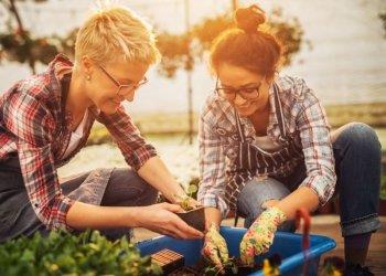 Premio allinnovazione per le agricoltrici, candidature entro il 31 marzo
