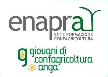 Enapra e Anga insieme per progettare nuovi percorsi formativi destinati ai giovani