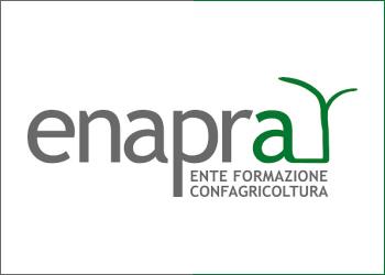 Wine hospitality design. Accoglienza enoturistica: progettare per le persone un nuovo corso di Enapra