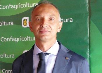 PAC e monosuccessione colturale, Confagricoltura Piemonte:  Il divieto egrave; un ostacolo per leconomia reale e per le attivitagrave; delle imprese