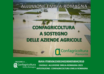 Alluvione Emilia Romagna: un sostegno da parte del Piemonte