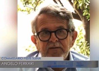 La Peste oltre il recinto: il servizio del Tg 3 Piemonte