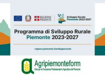 Seminari in presenza Formazione Csr 