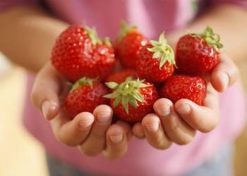 Pesticidi: Italia al top nellUnione Europea per controlli e minor residui