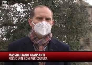 Sostenibilitagrave;, innovazione digitale e agricoltura 4.0: le aziende di Confagricoltura a Speciale TG1